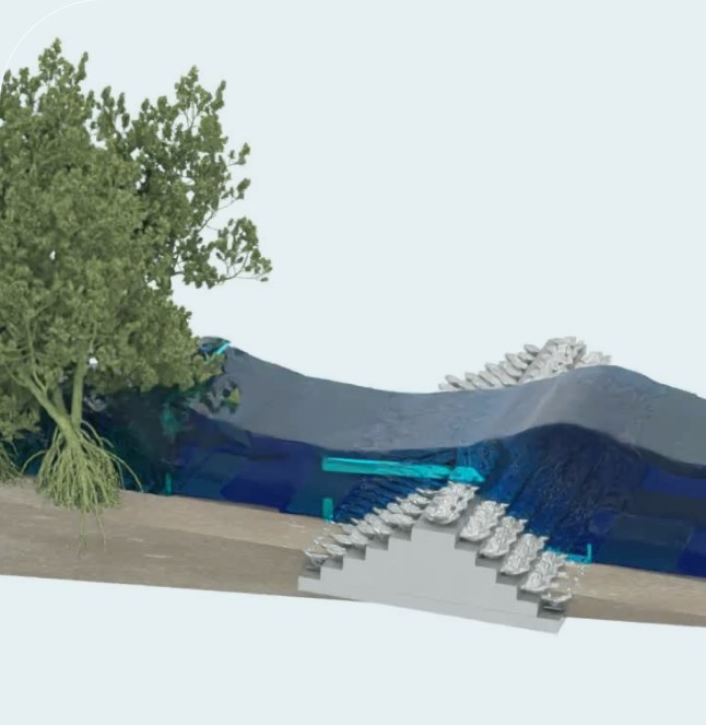 Coastal model of wave action on a stepped shoreline structure
