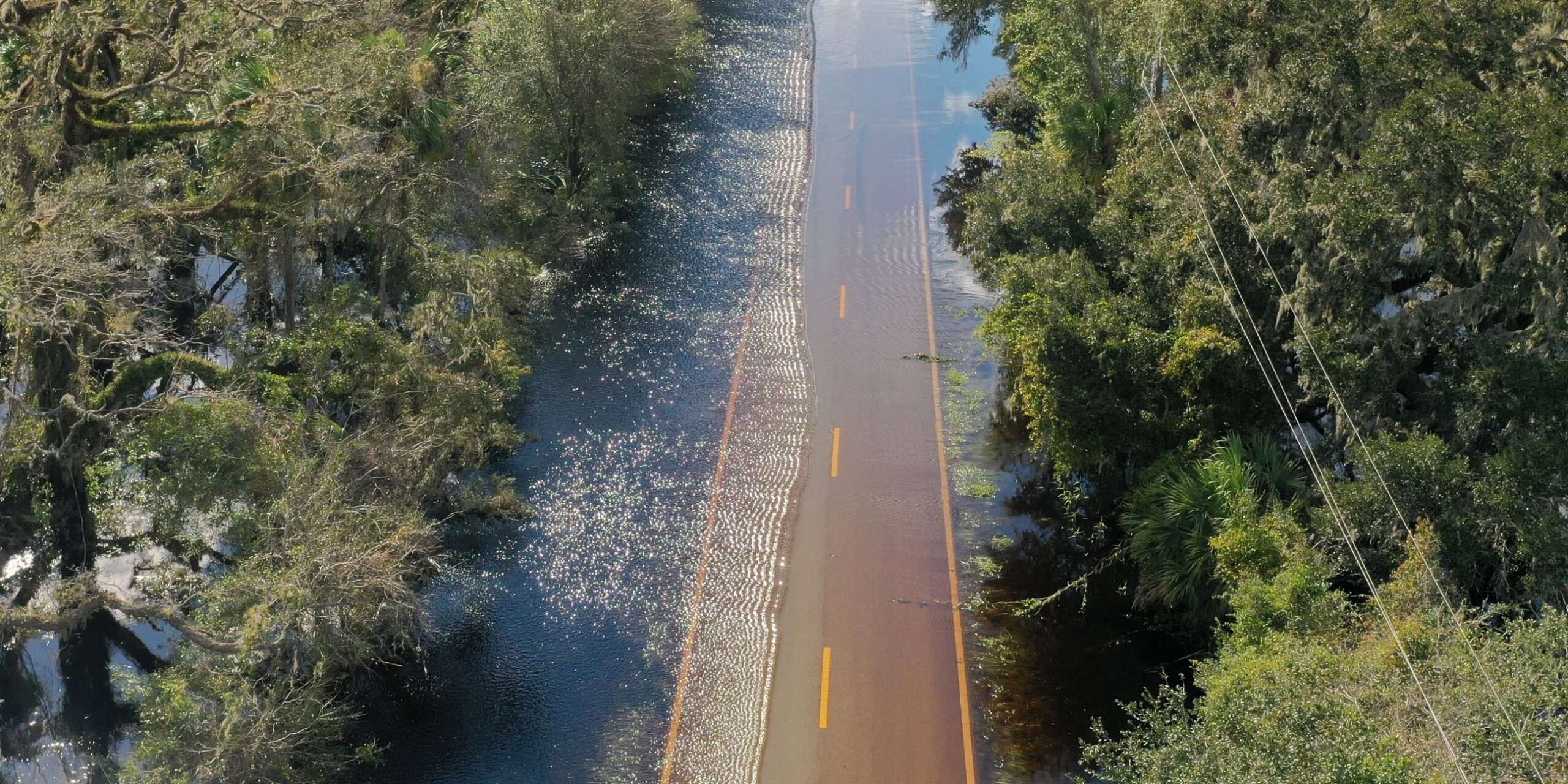 Aerial view of a road flooded by water running through dense coastal forest