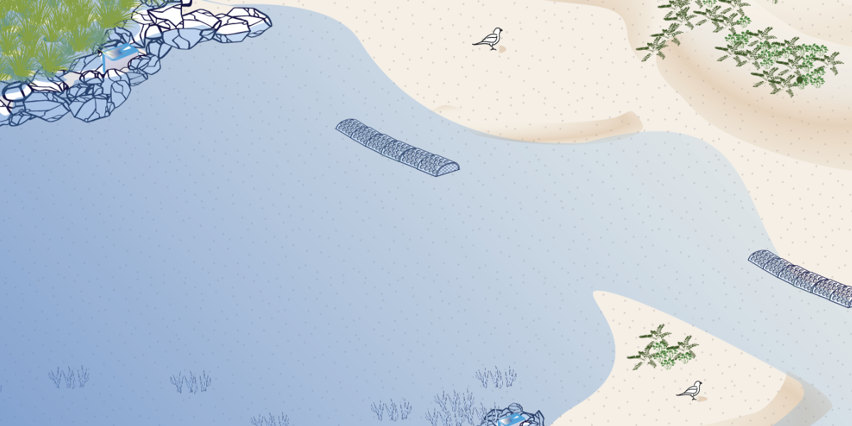 Isometric illustration of a shoreline design with oyster reef, tidal marsh, beach berm and awareness fence